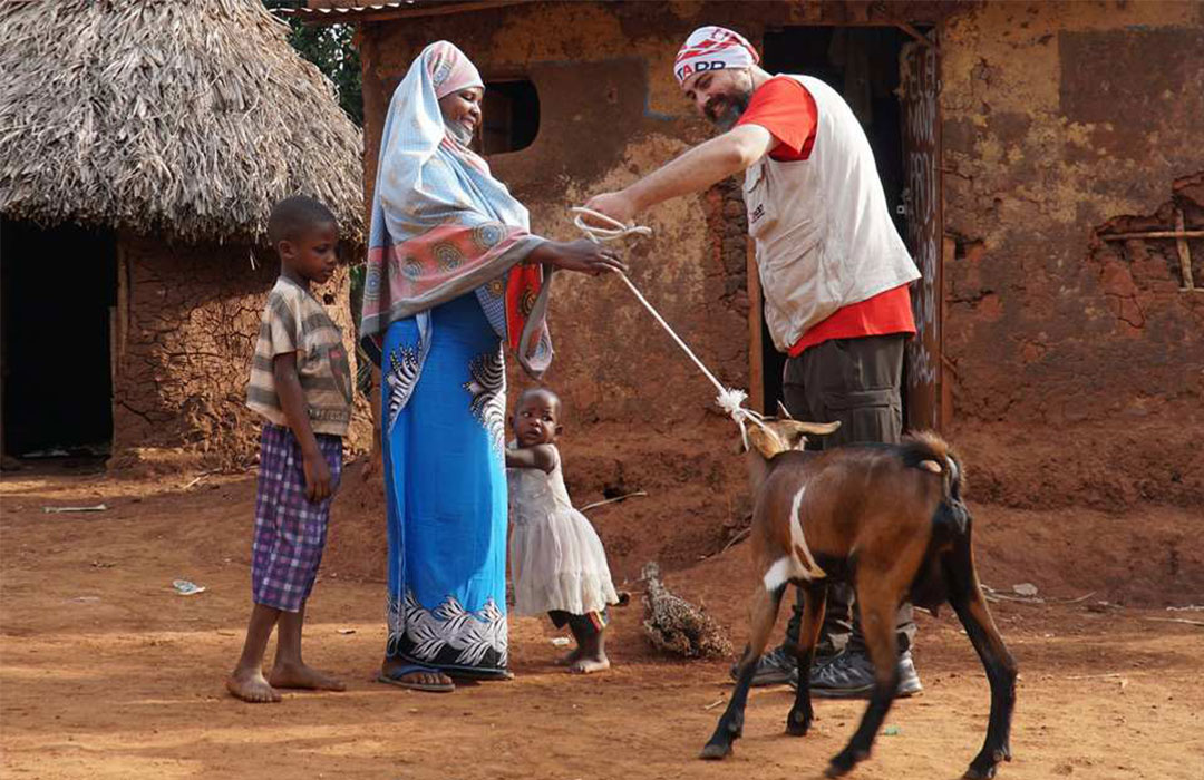 Afrika'da süt keçileriyle değişen hayatlar